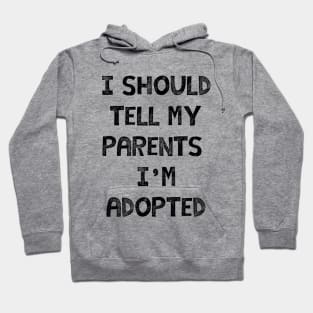 Adoption is fun Hoodie